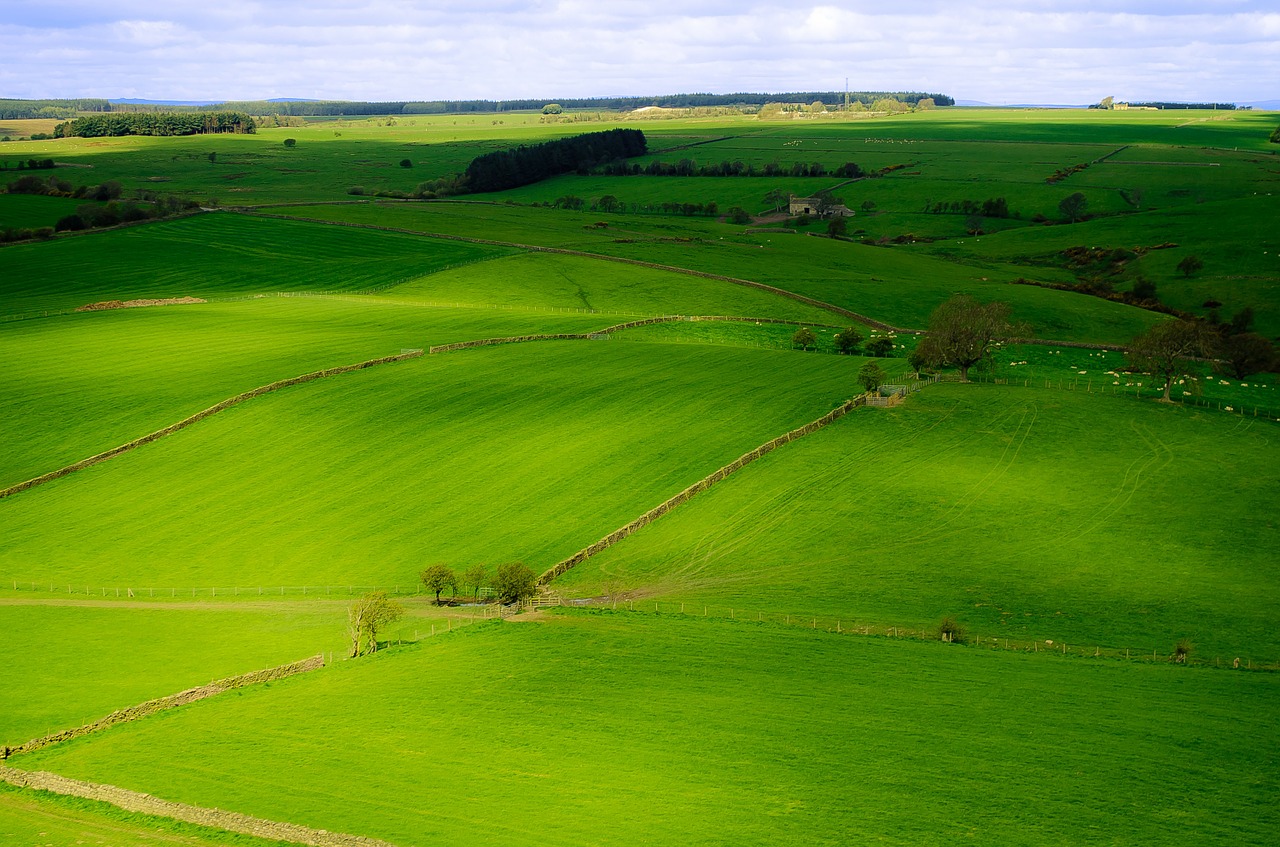 england yorkshire