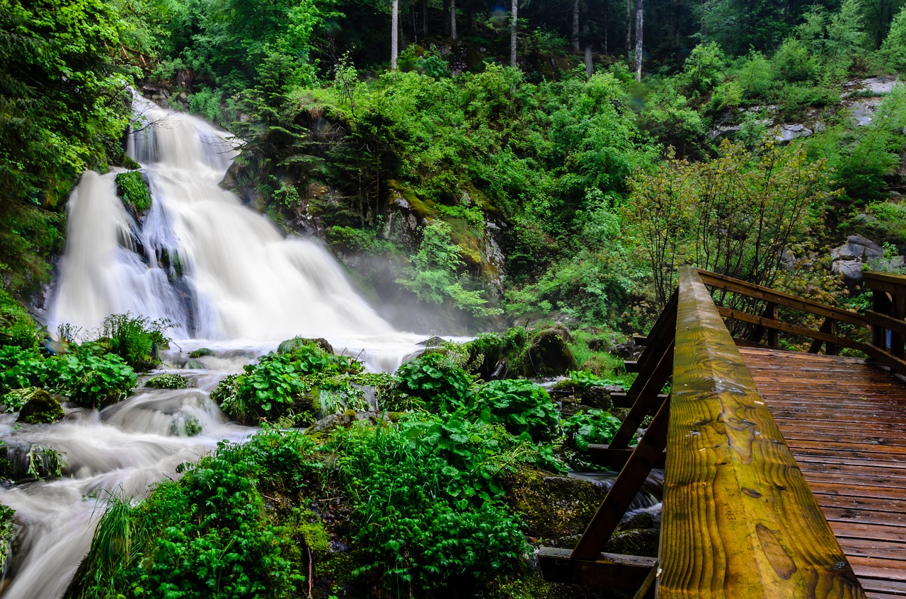 triberg black forest