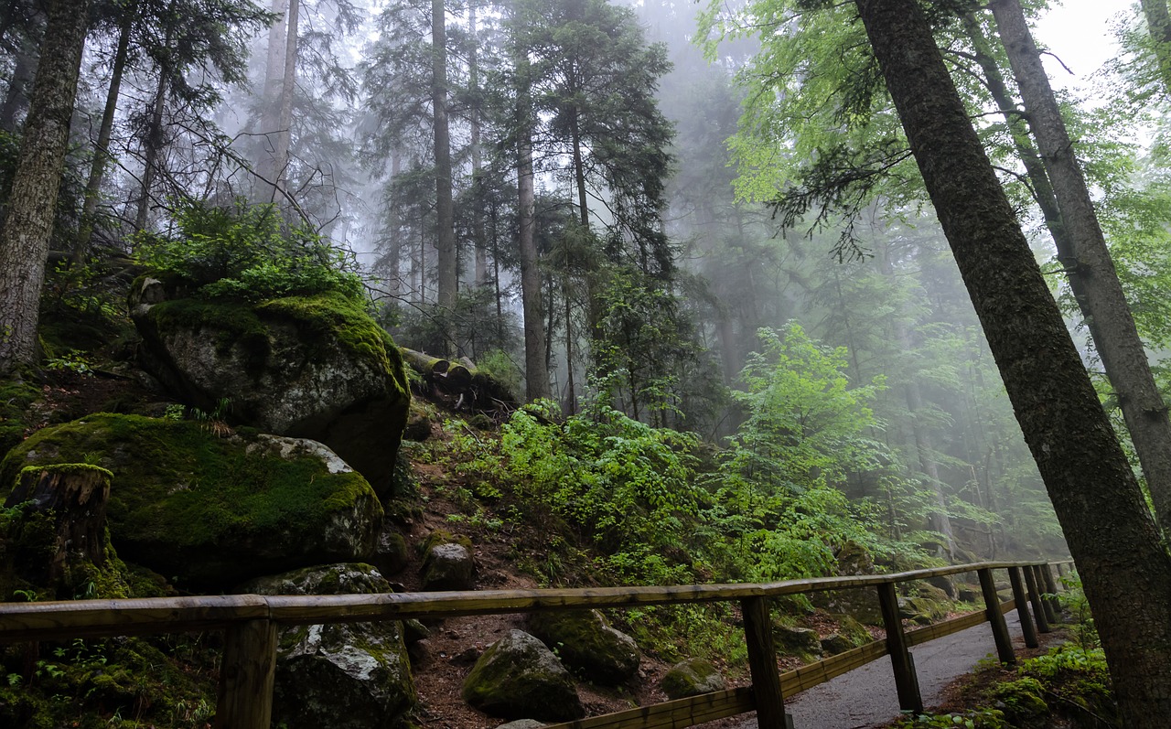 triberg black forest