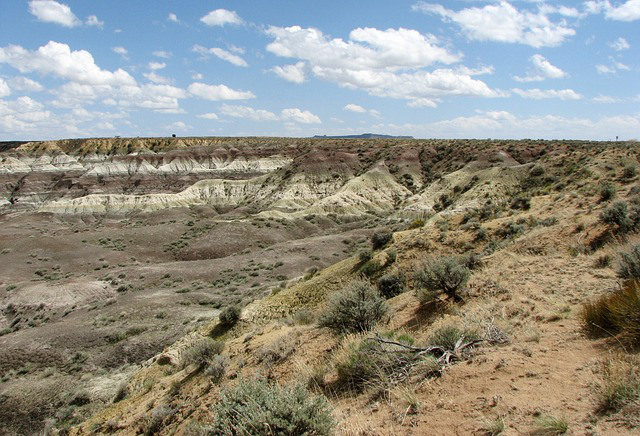 New Mexico Canyon