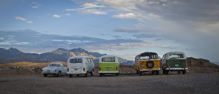 VW Busses