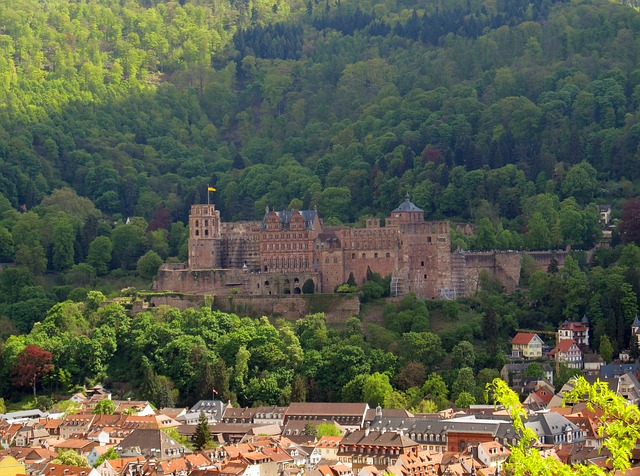 Schloss-Heidelberg