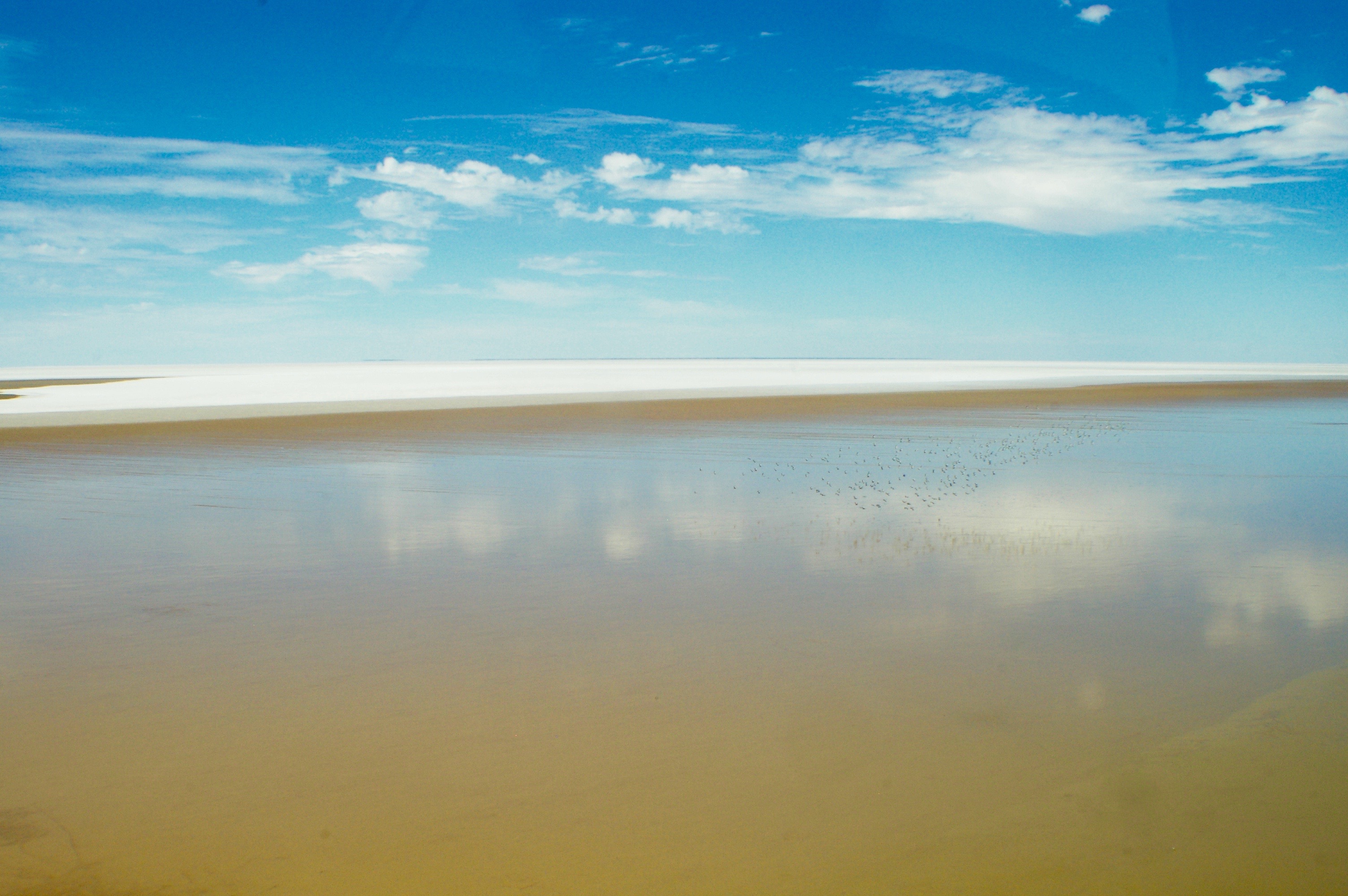 Aerial with Birds Lake Eyre -® Melinda Barlow