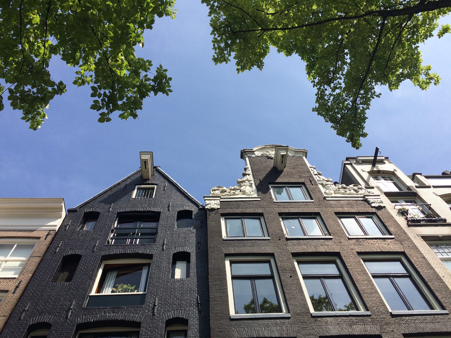 Amsterdam Houses -® Melinda Barlow