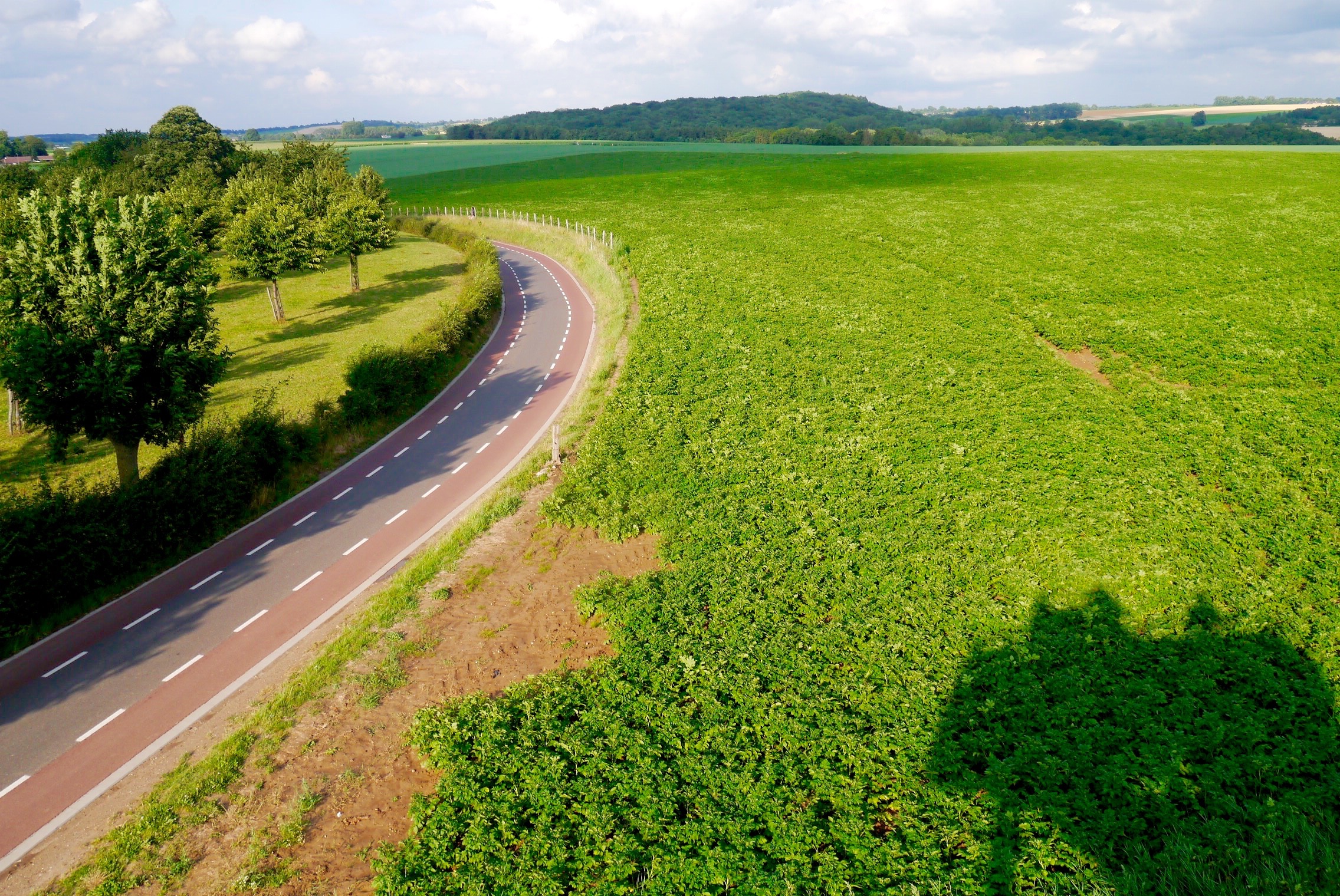 Cycle paths, Limburg NL -® Melinda Barlow