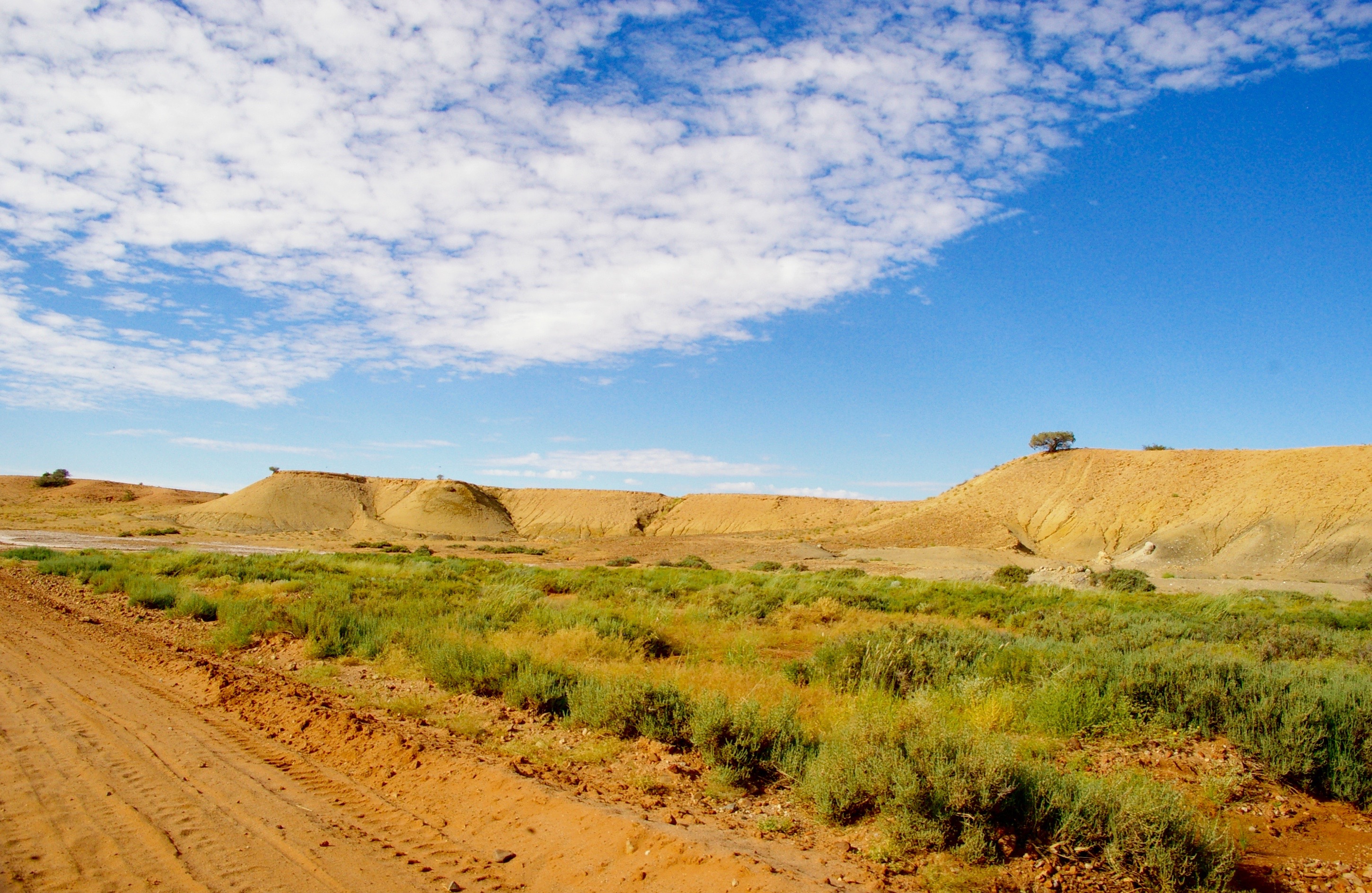 Desert 2 near William Creek -® Melinda Barlow