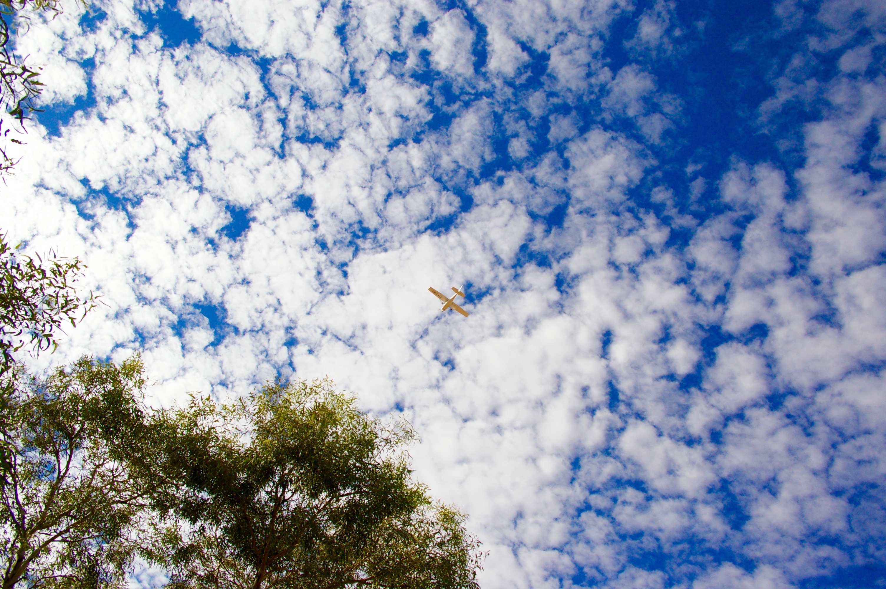 Scenic flight -® Melinda Barlow