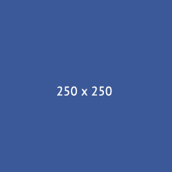 250×250