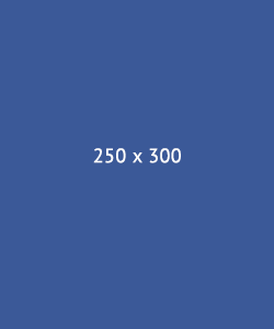 250×300