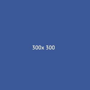 300×300