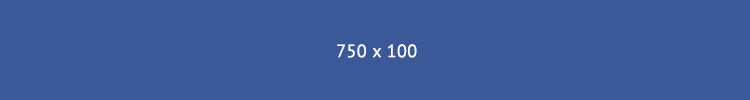 750×100