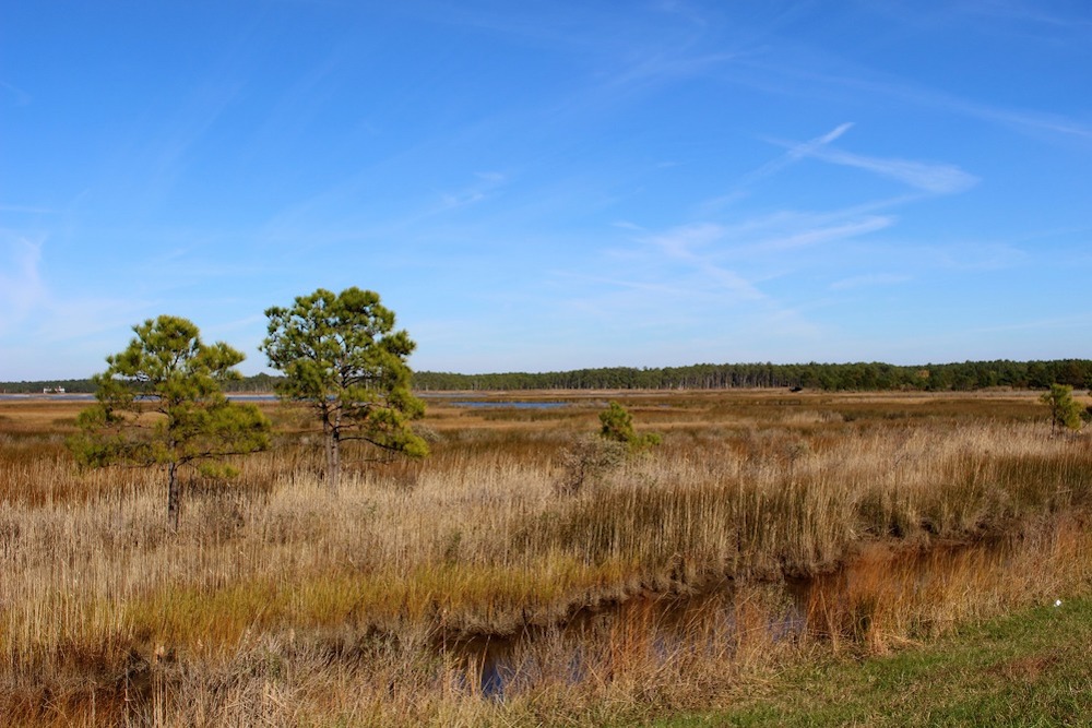 NPS_beth parnicza